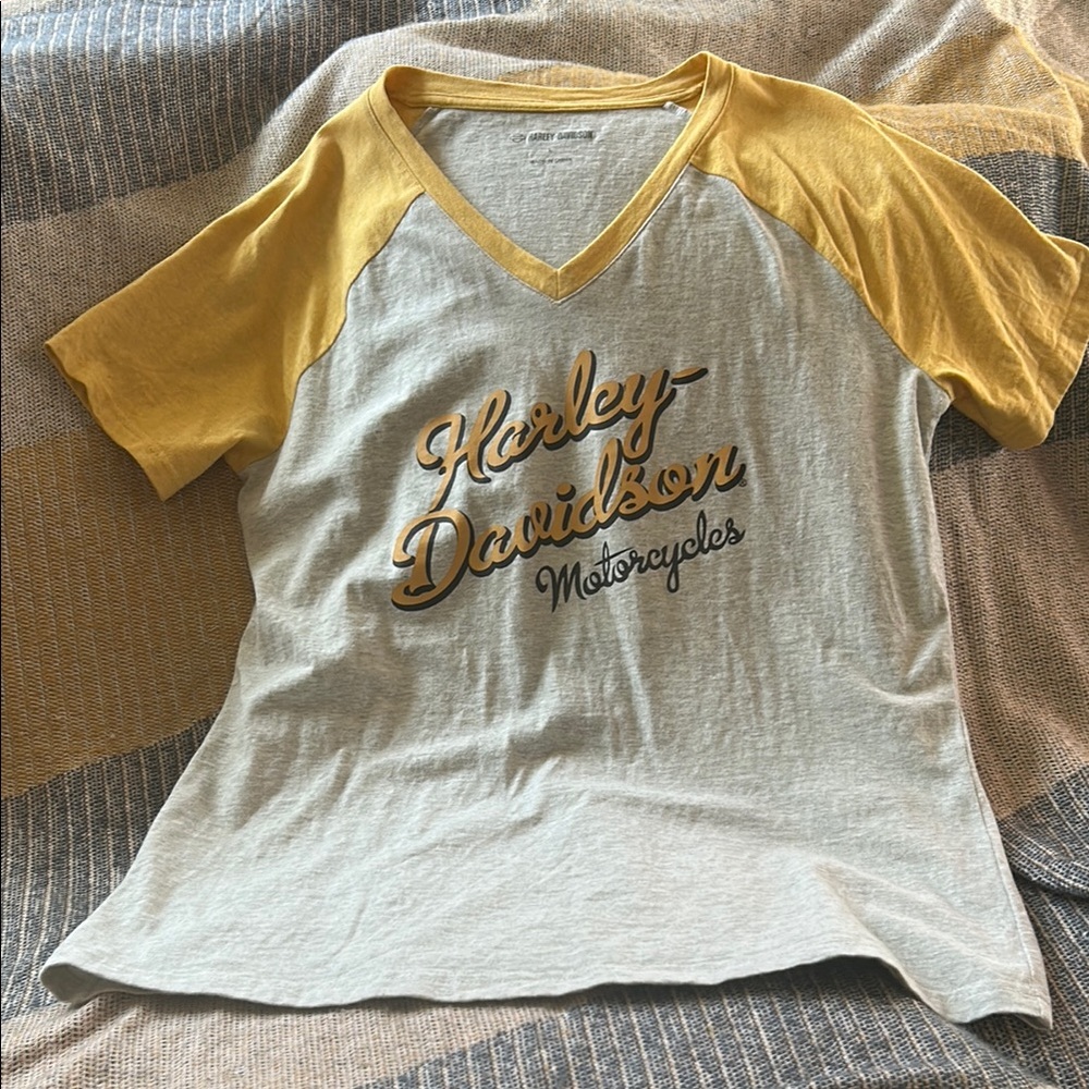 Harley-Davidson Gold and Gray Tee